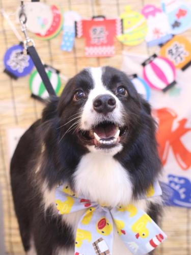 20240720ウィルくん